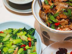 油渣炒青菜-望湘园湖南菜(赛格店)