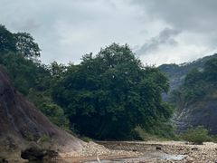 -九曲溪竹筏码头