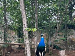 -乐和乐都主题乐园