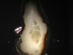 -深圳珠宝博物馆