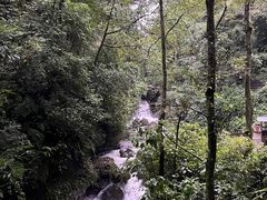 -峨眉山风景名胜区