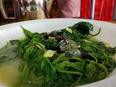 上汤浸桑叶-红日饭店(裕隆三路店)