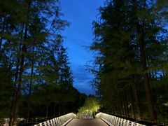 -南京眼步行桥