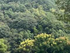 -黄公望隐居地