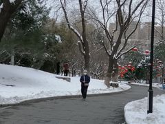 -丰台花园