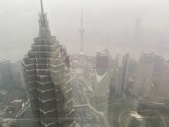 -上海柏悦酒店·世纪100牛排馆
