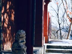 -少华山国家森林公园