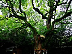 -热田神宫