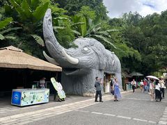 -野象谷景区