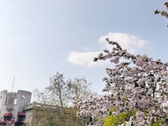 -天津意大利风情旅游区