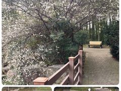 -苏州河梦清园环保主题公园