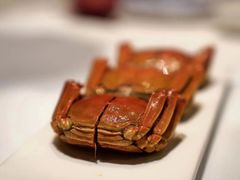 -福1015(愚园路店)