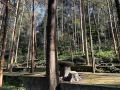 -都江堰普照寺