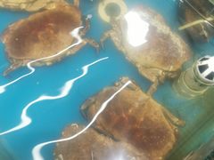 -87号烧烤海鲜·大排档(金沙滩店)