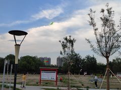 -太阳宫公园