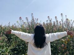 -中国天府农业博览园