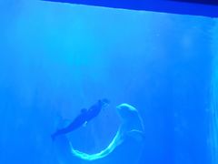 -多彩贵州城极地海洋世界