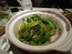 澳虾生菜啫啫煲-尚一汤 广东炖汤(金桥国际店)
