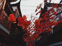 -豫园