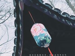 -上海醉白池公园