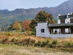 -塔川景区