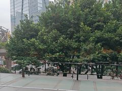 -广州希尔顿逸林酒店-OPEN開·全日制餐厅·海鲜·小火锅·自助餐(东风路店)