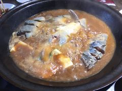 -肥鱼屯活鱼锅(惠工街店)