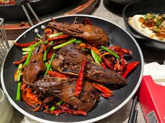 -老板恋上鱼(恒隆广场店)