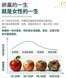 -孩子王(龙湖狮山天街店)