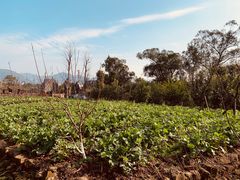 -驿舍·民國老营房院子私房菜(科学会堂店)