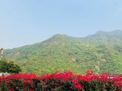 -梧桐山风景名胜区