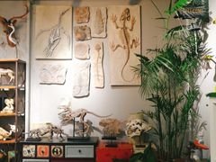 -山东嘉汇文化用品有限公司张店凤凰国际分公司(新村西路店)