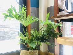 -糖房咖啡(南锣鼓巷店)