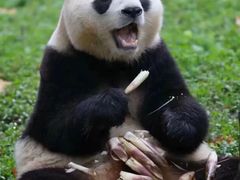 -好利来(上海长宁龙之梦店)