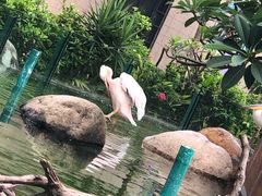 -灵玲国际马戏城