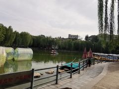 -莲湖公园