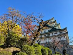 -名古屋城