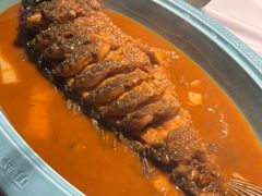 -阿五黄河大鲤鱼(纬三路店)