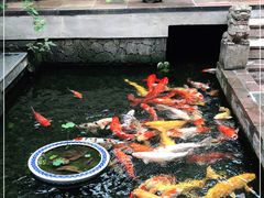 -馨园villa融合菜(东山店)