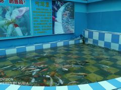 -乌鲁木齐海洋馆