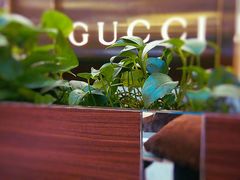 picture-猫屎咖啡(海印又一城店)