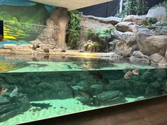 -上海海洋水族馆