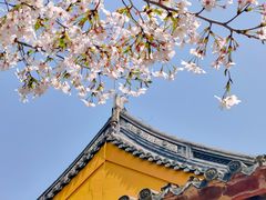 -龙华寺