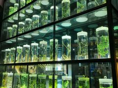-广东中医药博物馆