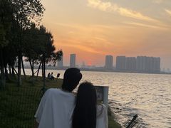 -瑶湖郊野森林公园