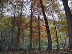 -南京市无想山景区