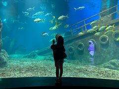 -福州罗源湾海洋世界旅游区