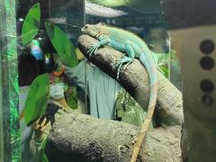 -广州长隆飞鸟乐园