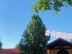 -意大利农场度假村