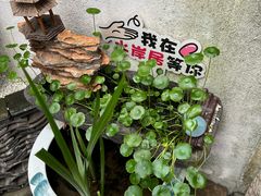 -水岸居湖景农家乐·阳澄湖大闸蟹